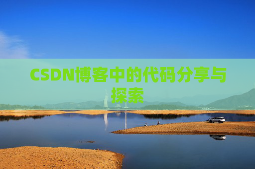 CSDN博客中的代码分享与探索